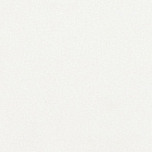 PVC Bodenbelag Typ EXPO TREND Expotrend 1010 - White