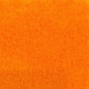 Clementine-Pantone 158C