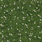 Printed carpet COUNTRY GARDEN