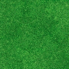 Printed carpet GRASS